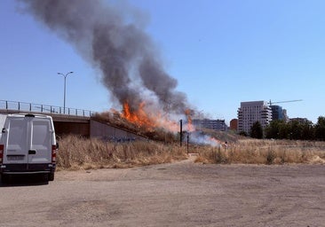 Dos incendios en un día en la misma zona de León: «Está llena de basura y descuidada, es un riesgo para los vecinos»