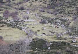 Comarca de Babia.