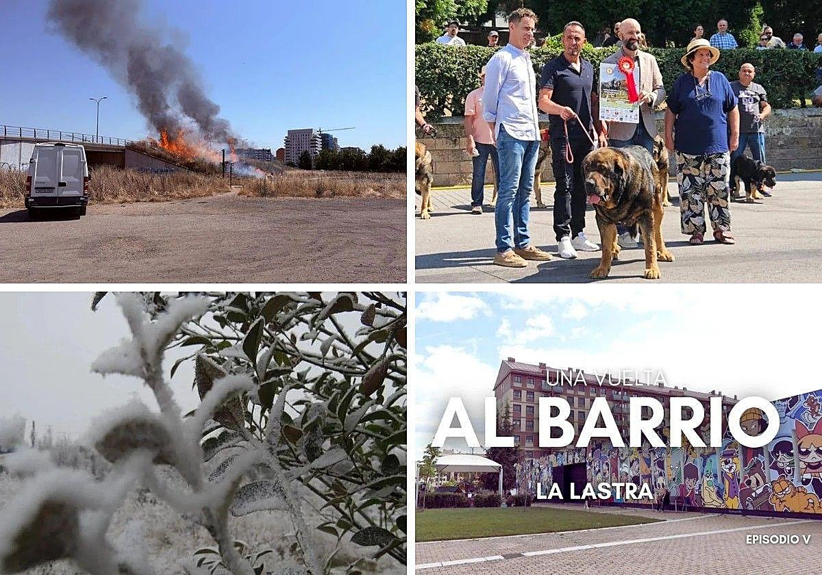 Las imágenes del día.