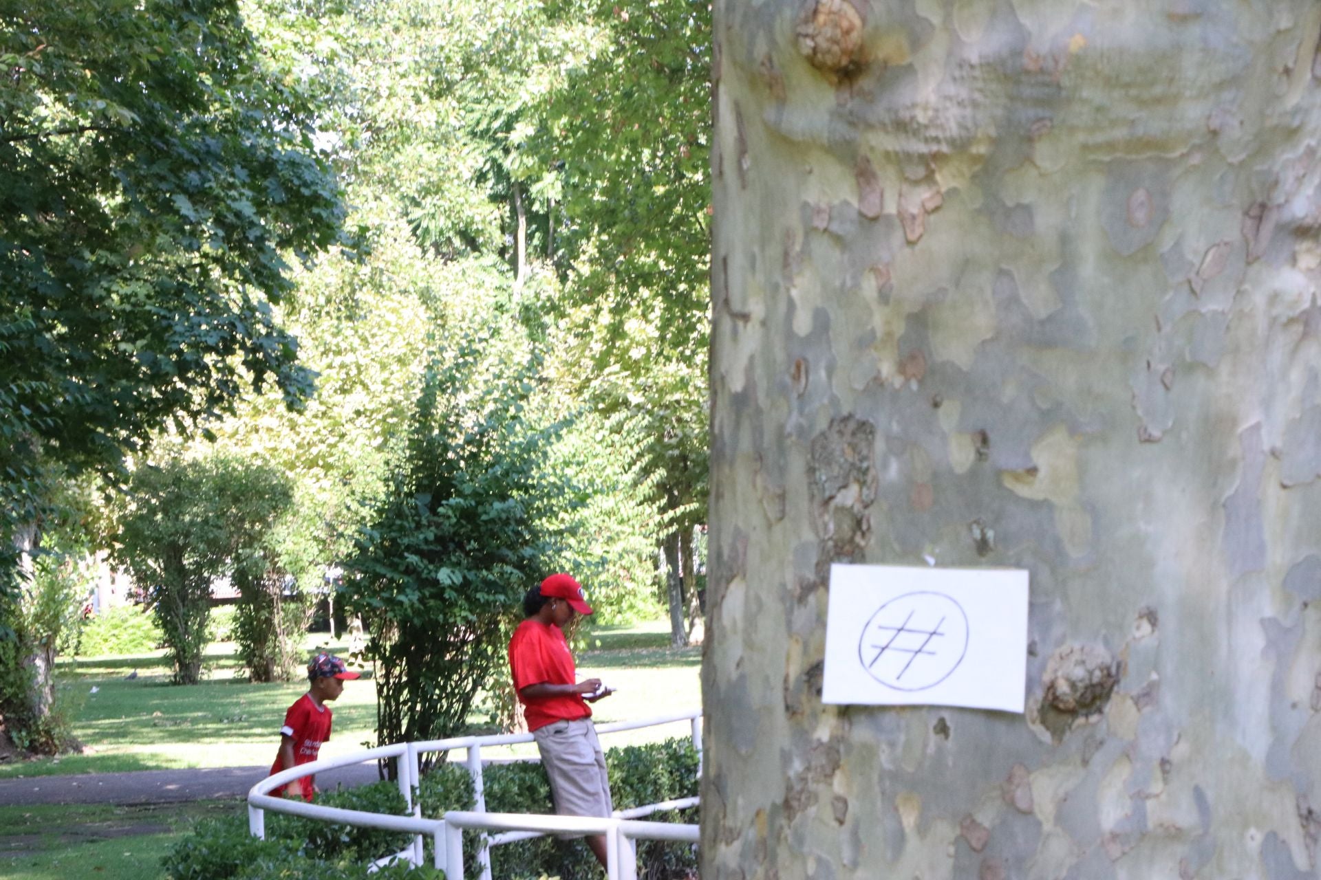 Así es un campamento urbano de León