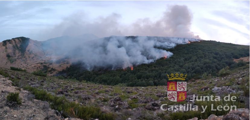 Las imágenes del incendio de Olleros de Alba