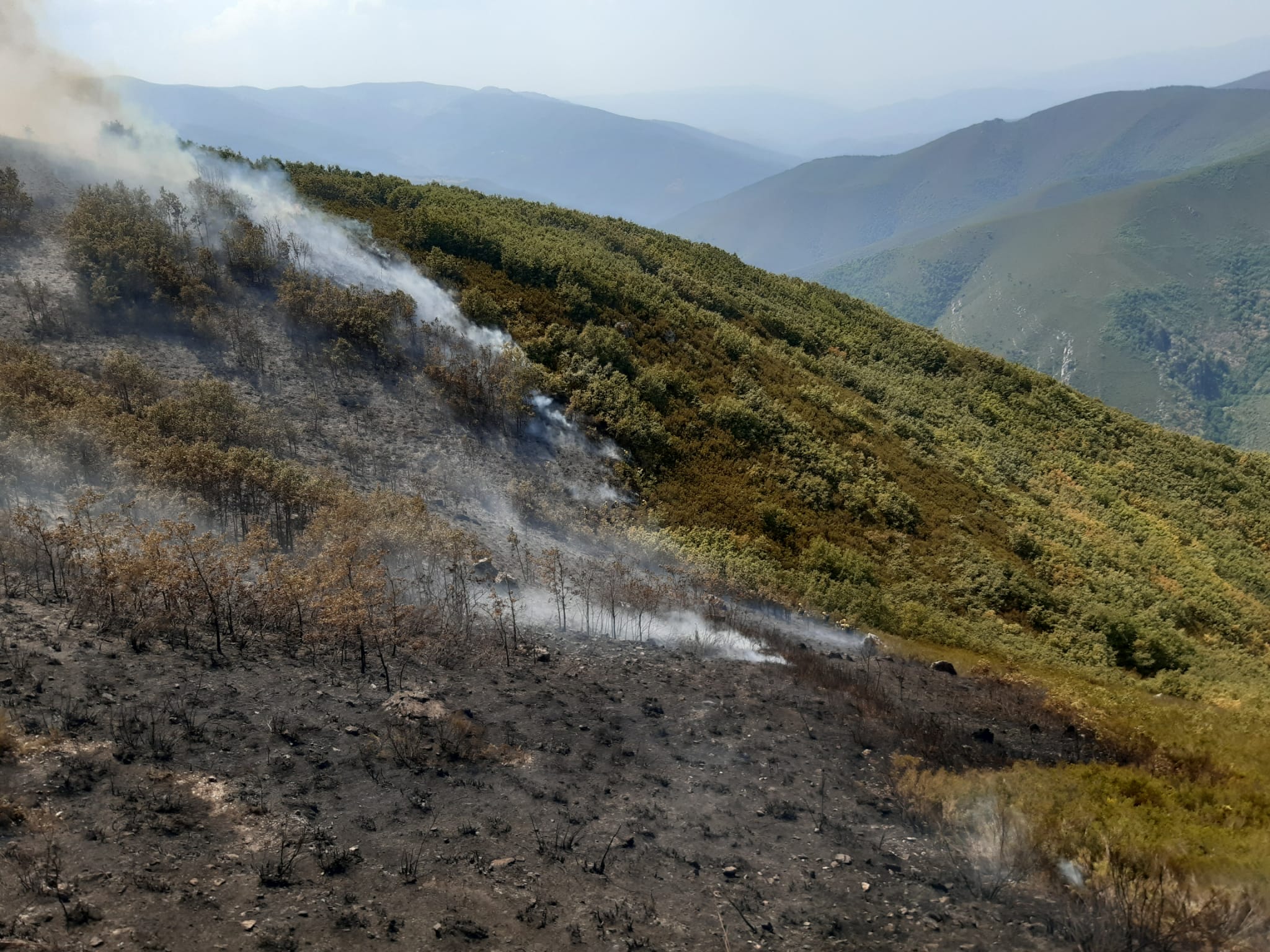 Las imágenes del incendio de Llamas de Cabrera