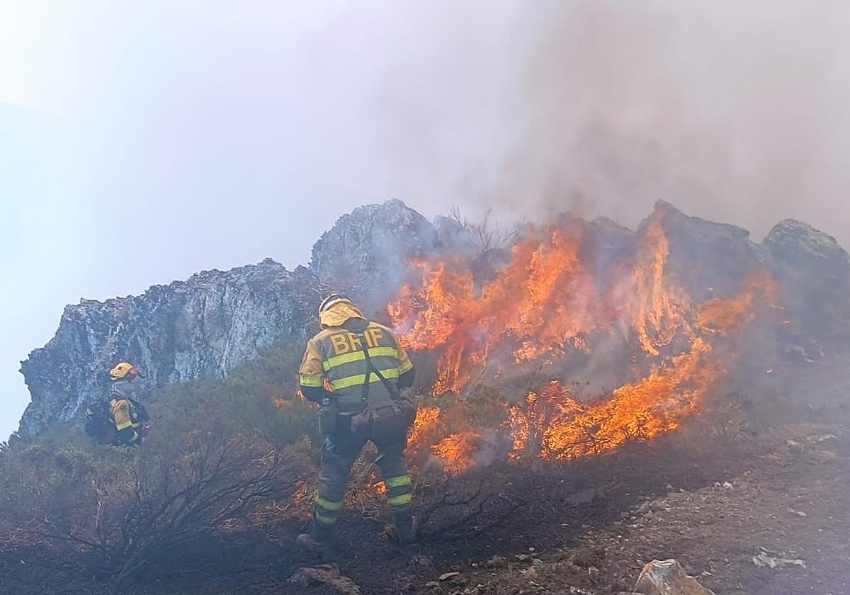 Bomberos de la BRIF de Tabuyo en Llamas de Cabrera.