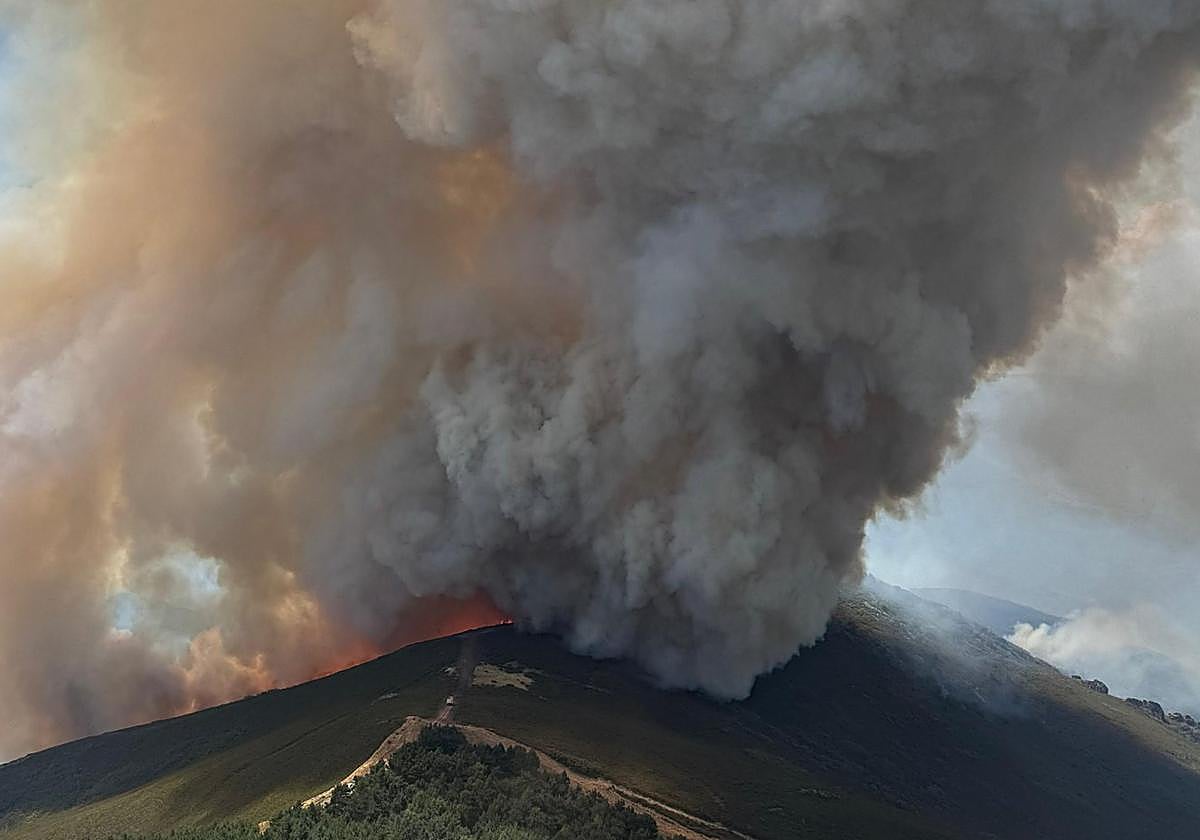 Imagen de las BRIF actuando en el lugar.