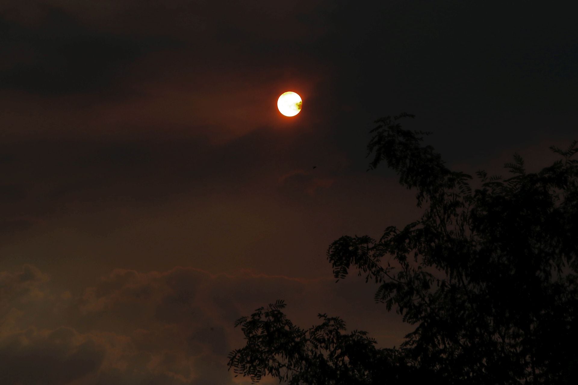 El humo de los incendios llega a León capital