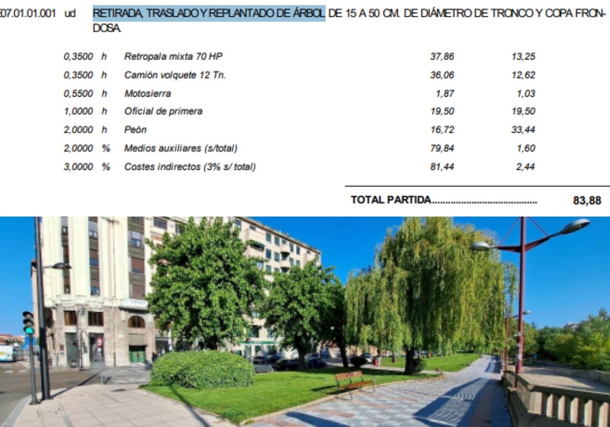 Parte del proyecto en la que se planifica la retirada de uno de los árboles del paseo de Salamanca.