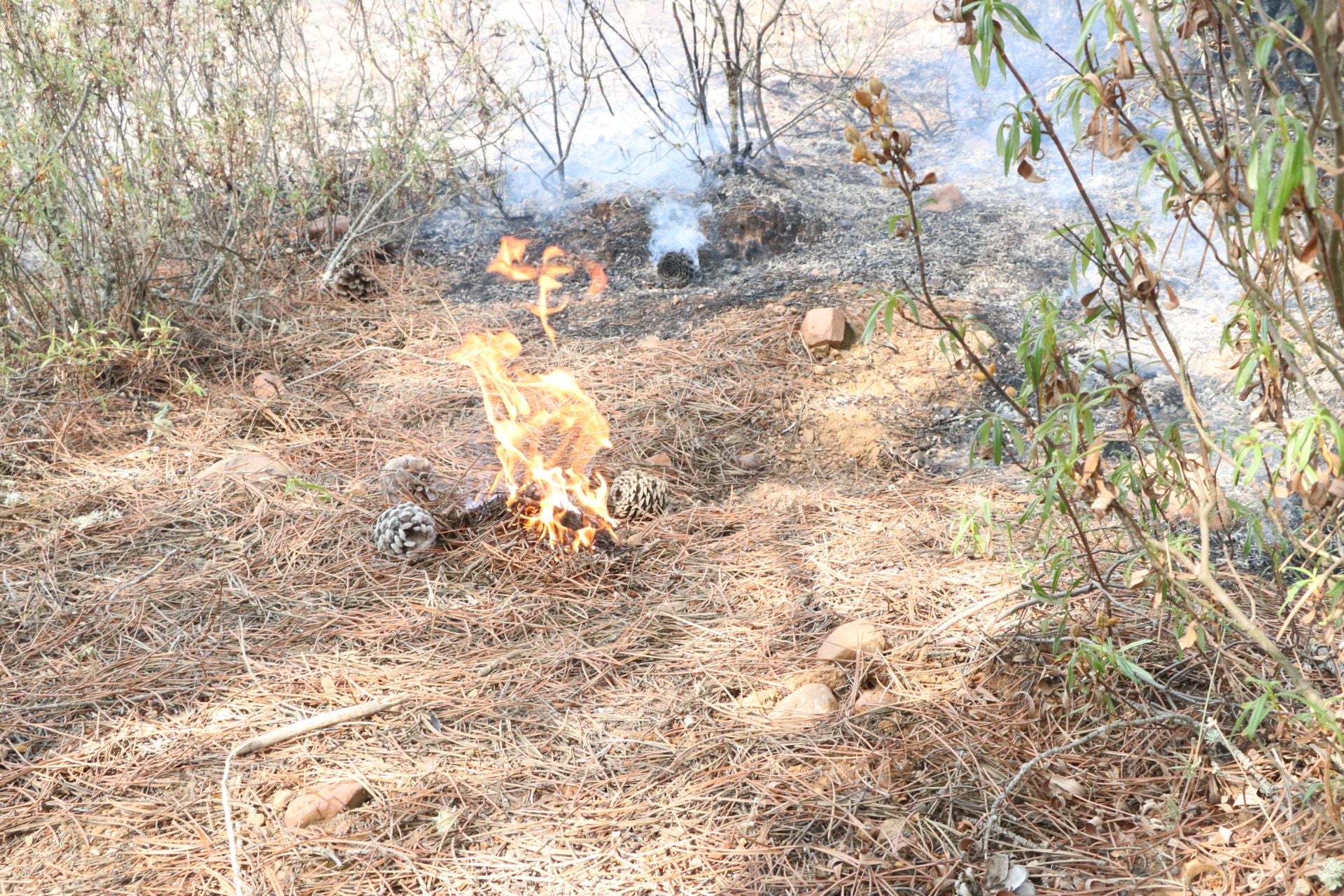 Las imágenes de los vecinos de San Esteban de Nogales