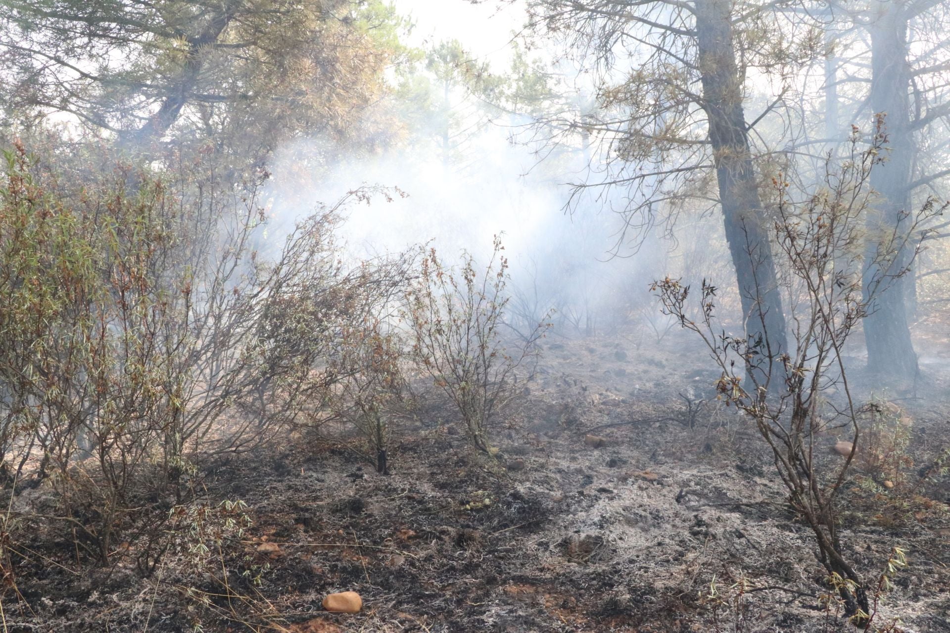 Las imágenes de los vecinos de San Esteban de Nogales