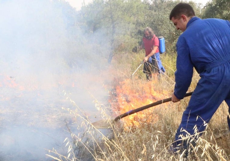 Incendio forestal en San Esteban de Nogales: cuando el pueblo salva al pueblo