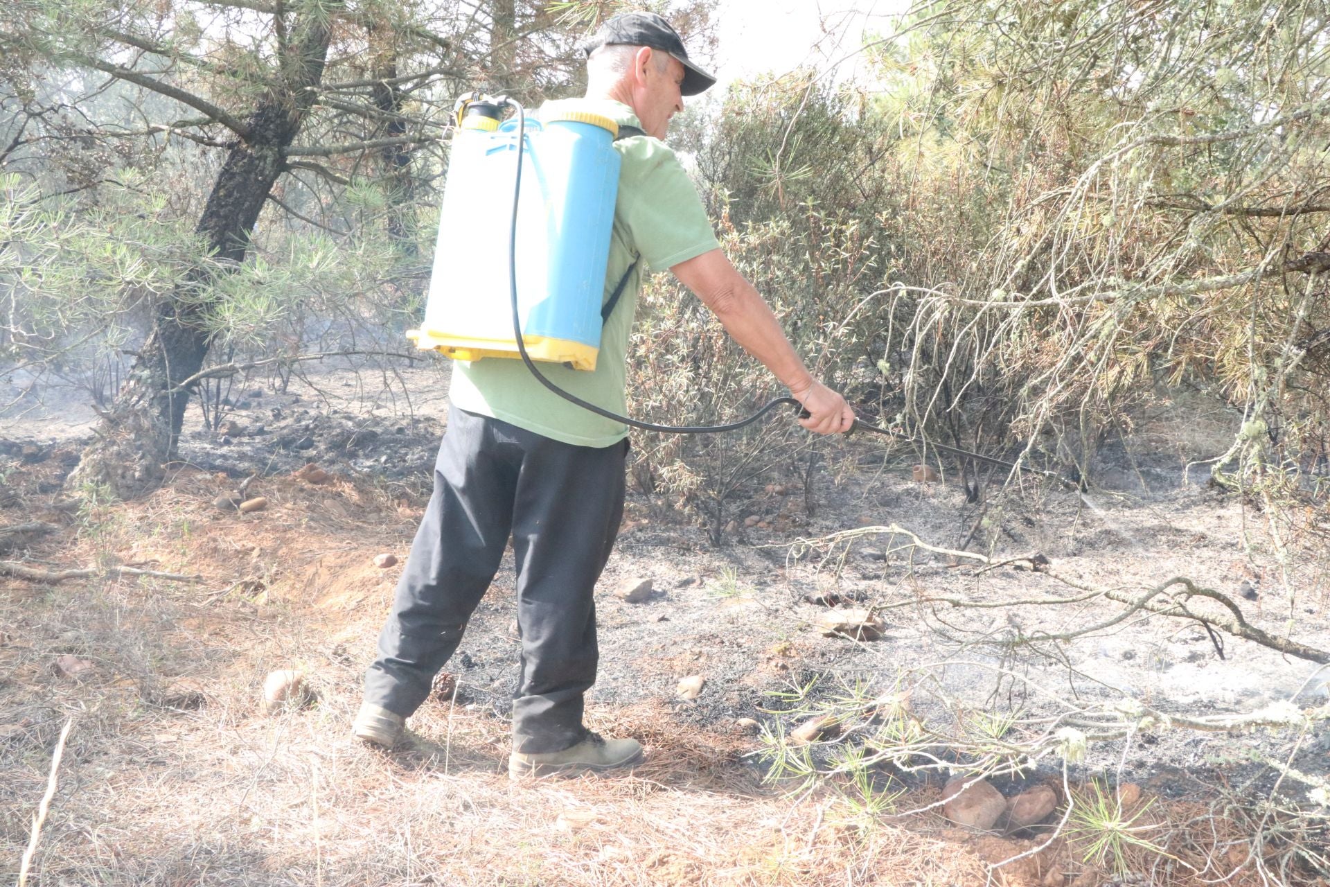 Las imágenes de los vecinos de San Esteban de Nogales