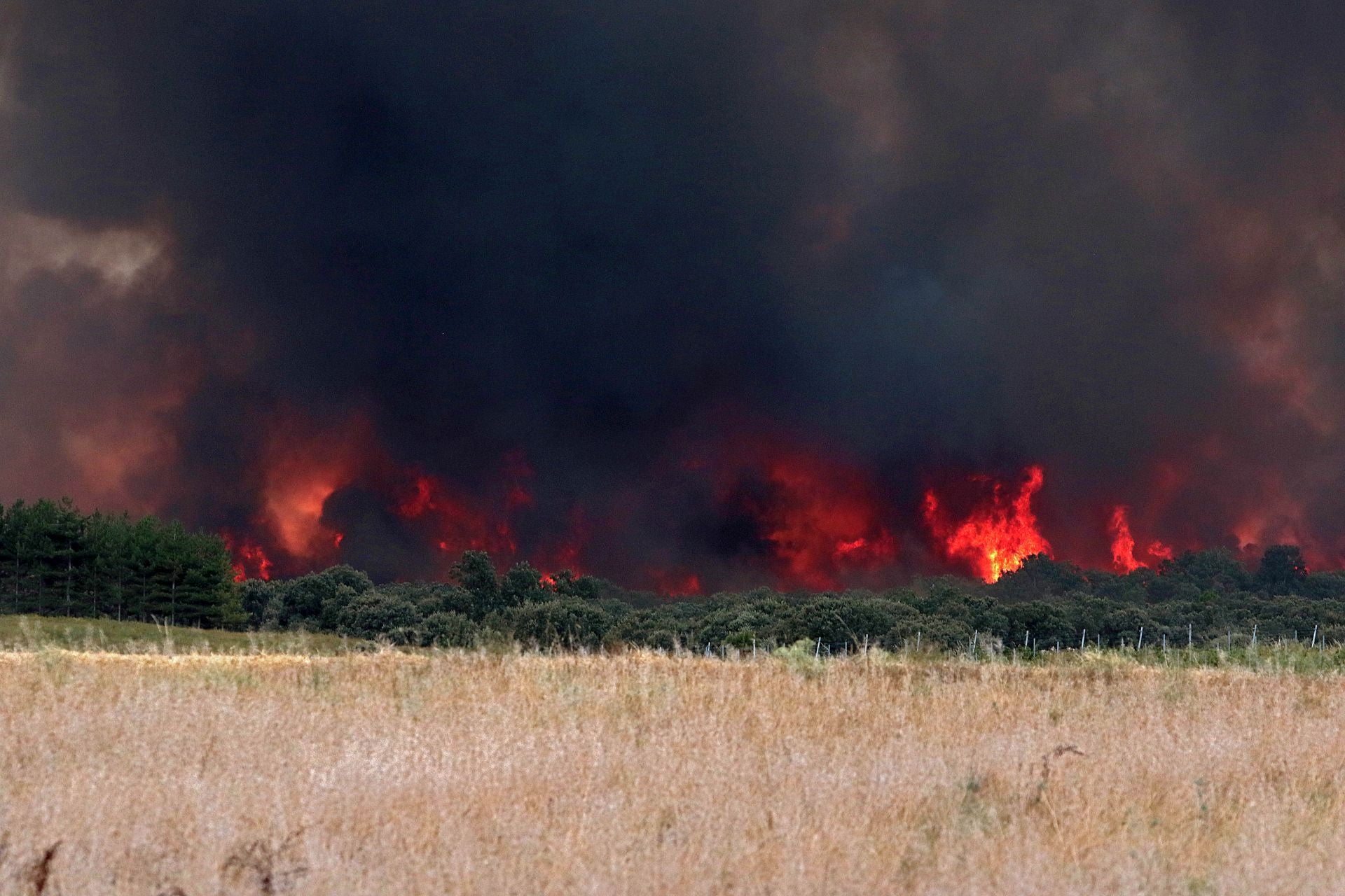 Las imágenes de la evacuación de un pueblo de León por los incencios