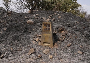 «Falta mucha conciencia ambiental en nuestra sociedad»