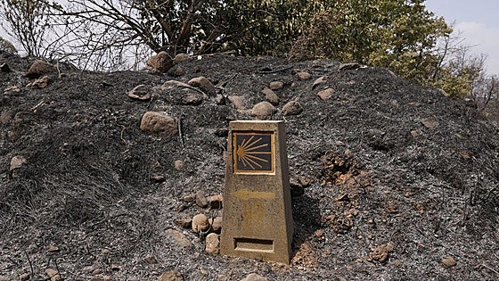 «Falta mucha conciencia ambiental en nuestra sociedad»