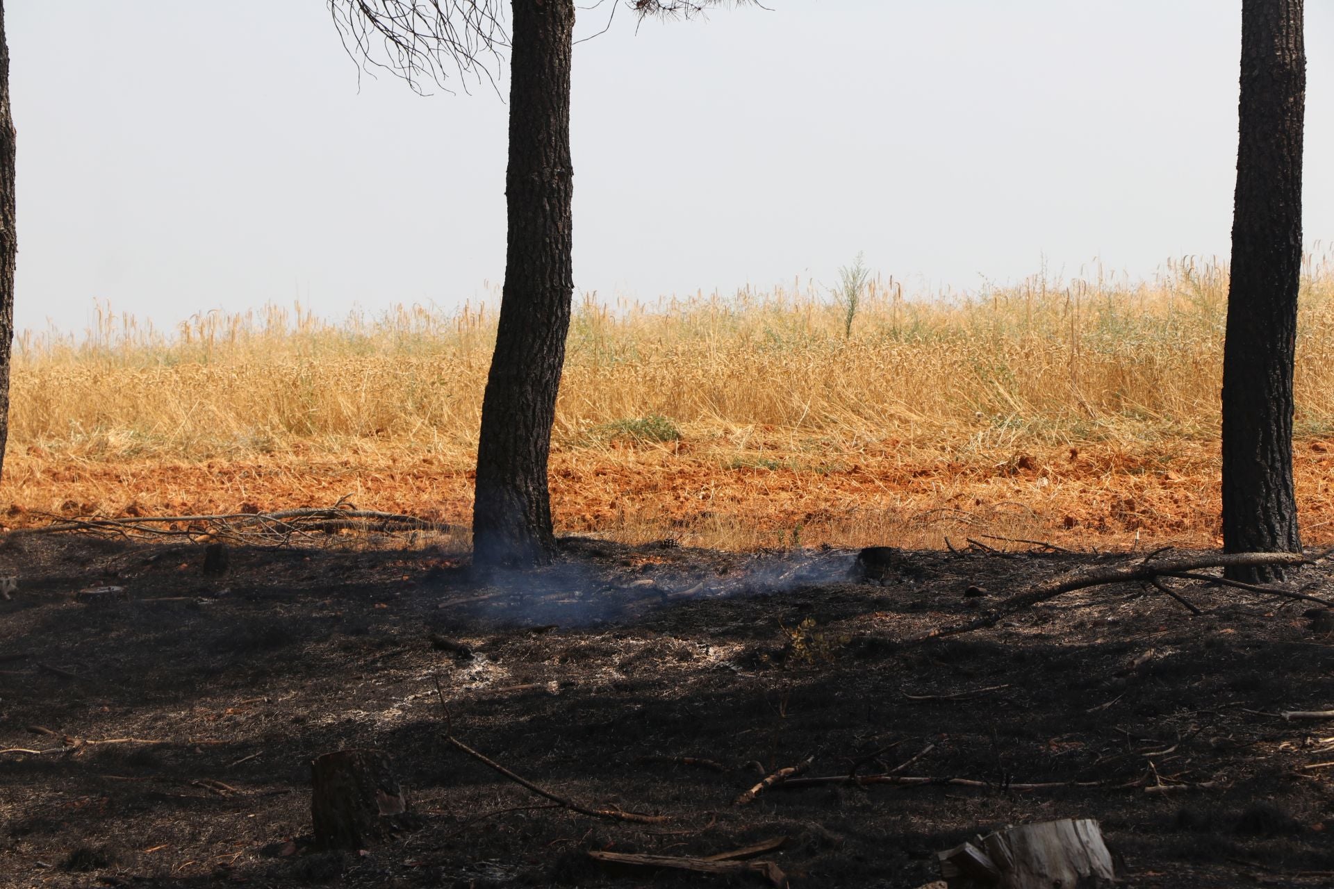 El Puesto de Mando Avanzado coordina la lucha contra el incendio de Castrocalbón