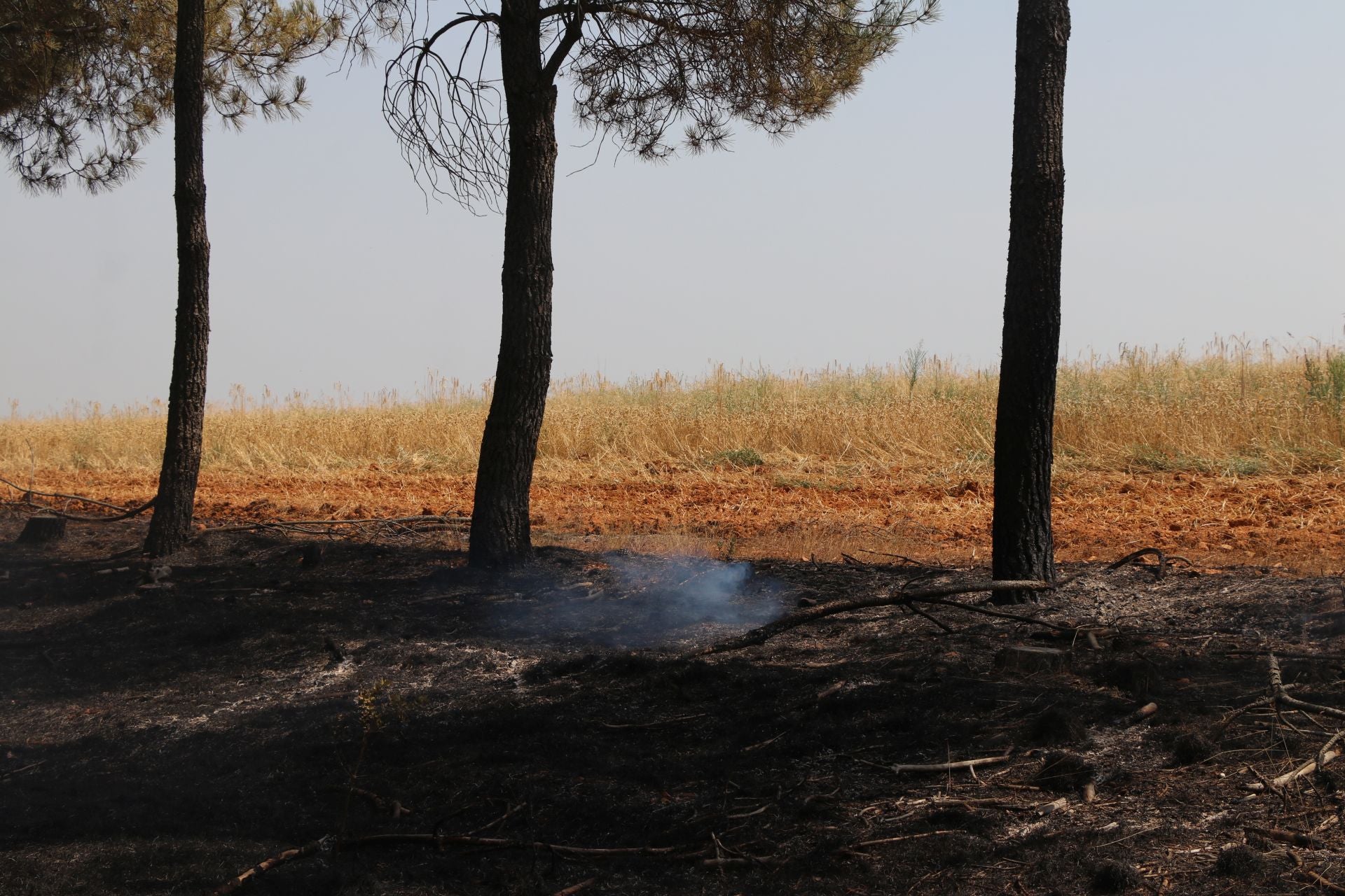 El Puesto de Mando Avanzado coordina la lucha contra el incendio de Castrocalbón