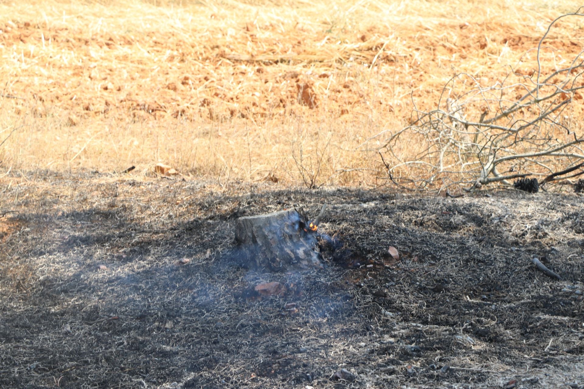 El Puesto de Mando Avanzado coordina la lucha contra el incendio de Castrocalbón