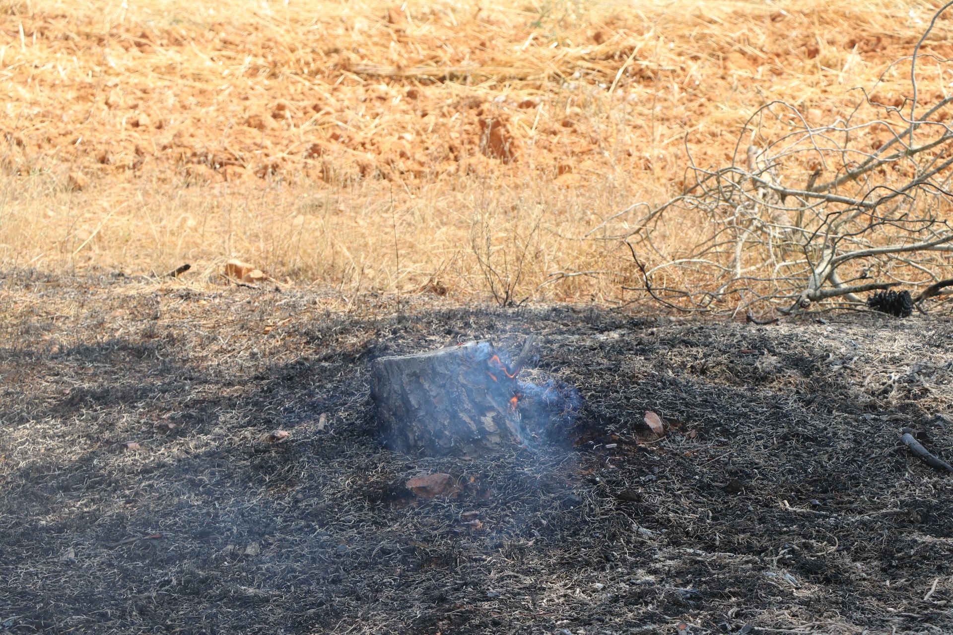 El Puesto de Mando Avanzado coordina la lucha contra el incendio de Castrocalbón