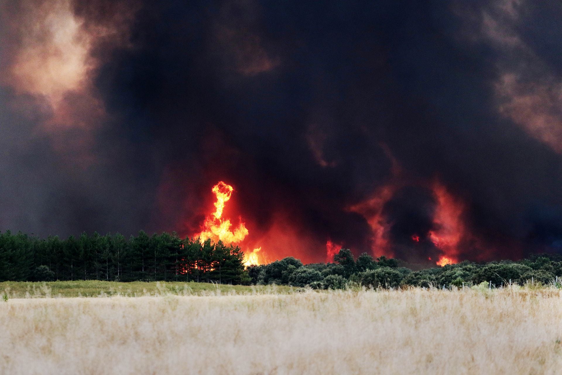 Las llamas avanzan cerca de la población leonesa de Herreros de Jamuz.