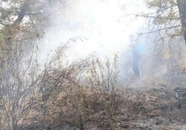Incendios en León y Zamora.