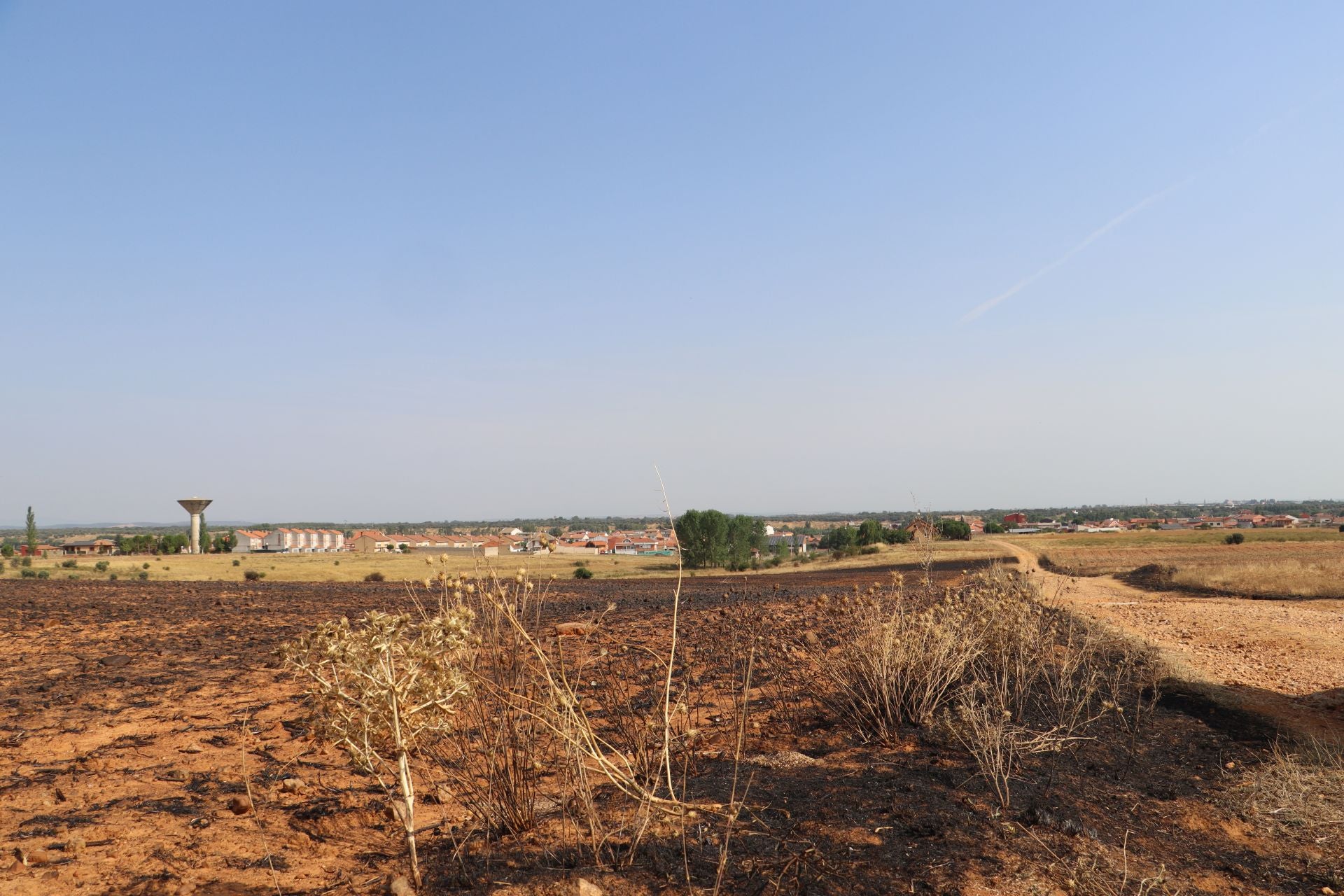 La devastación tras el fuego en Jiménez de Jamuz