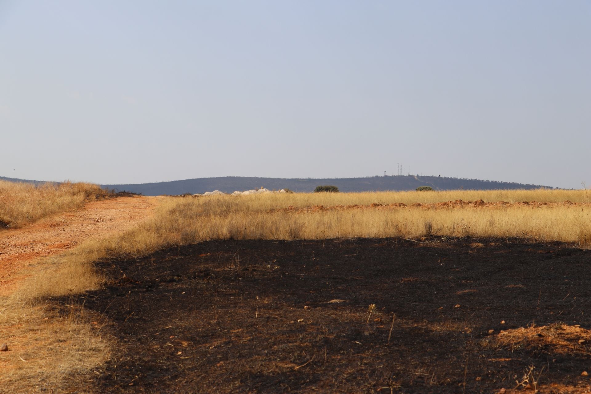 La devastación tras el fuego en Jiménez de Jamuz