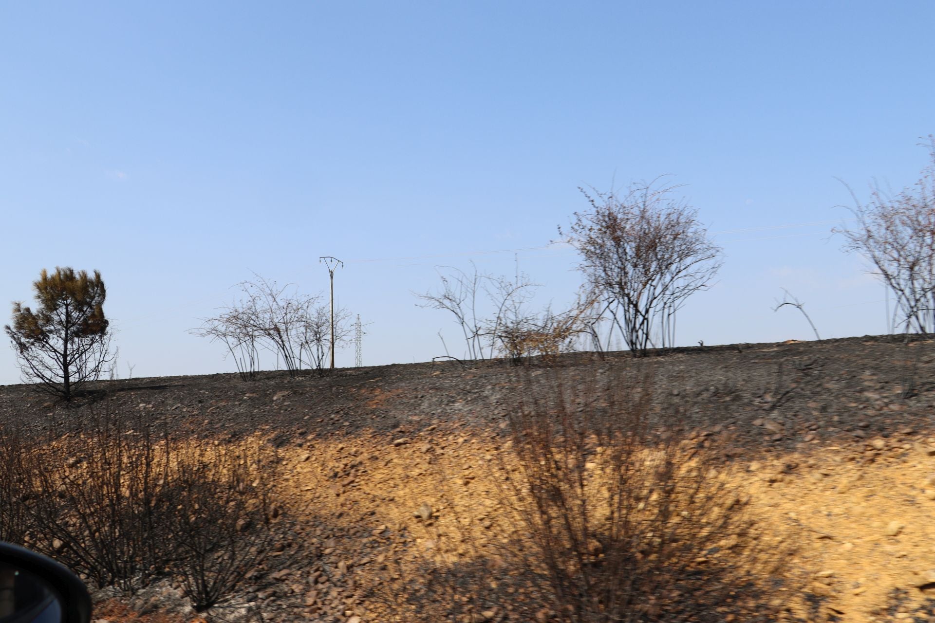 La devastación tras el fuego en Jiménez de Jamuz