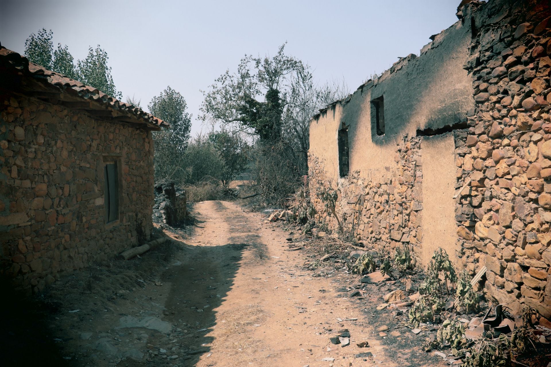Imagen secundaria 1 - Imágenes de las cuadras de Ángel Barrio.