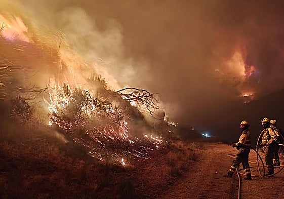 La BRIF de Tabuyo en Barniedo de la Reina.
