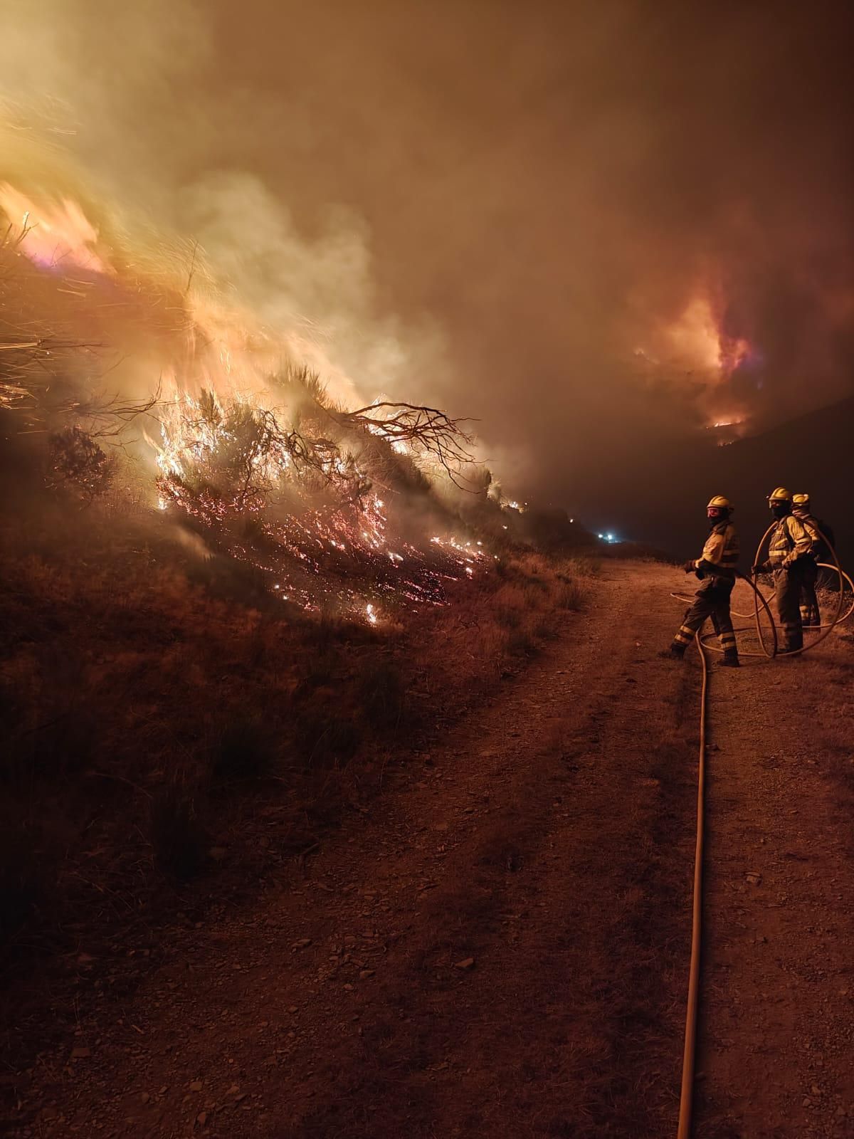 La BRIF de Tabuyo en Barniedo de la Reina.