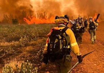 Nuevo incendio en León en el Parque Nacional de Picos de Europa
