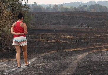 Nuevo incendio en La Baña, al saltar de Zamora el fuego de Porto