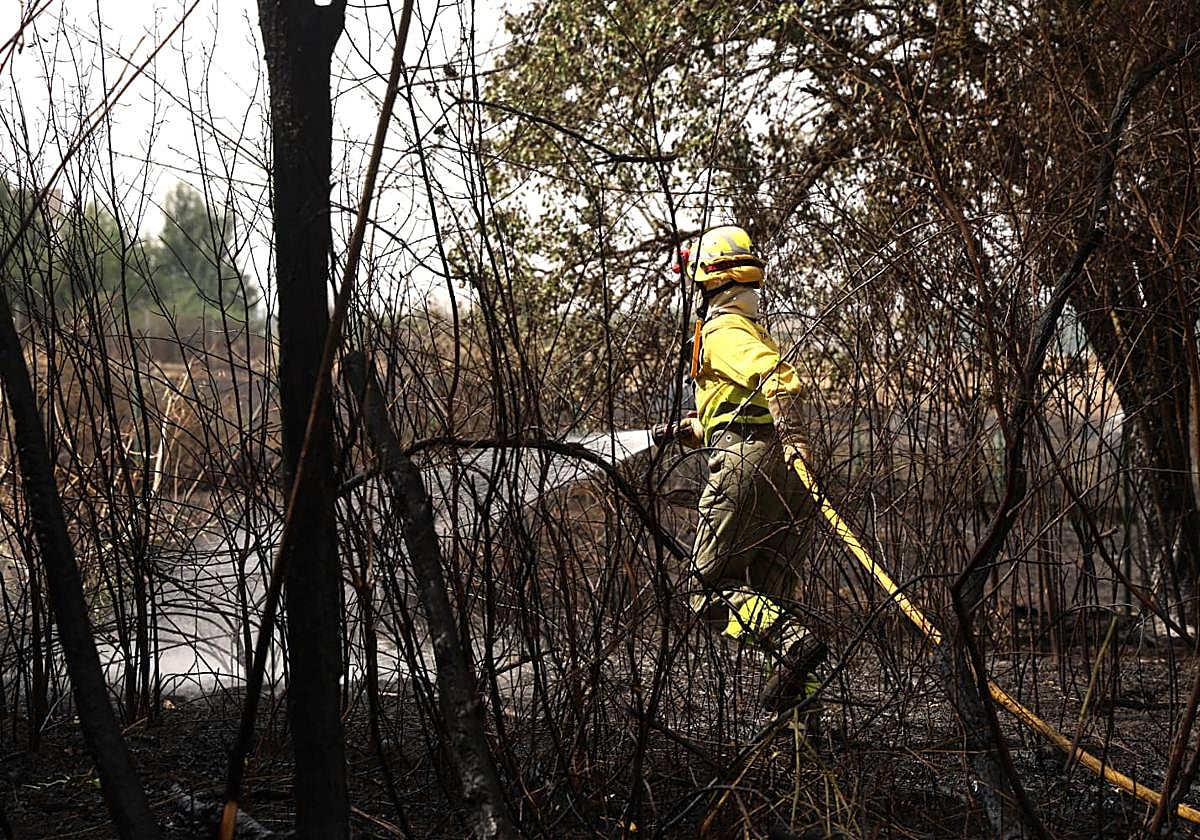 Un brigadista trabaja en el incendio de Barniedo.