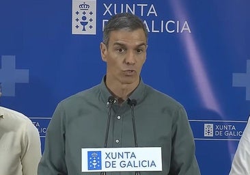 Sánchez propone un «gran pacto» de Estado para la «mitigación y la adaptación» a la emergencia climática