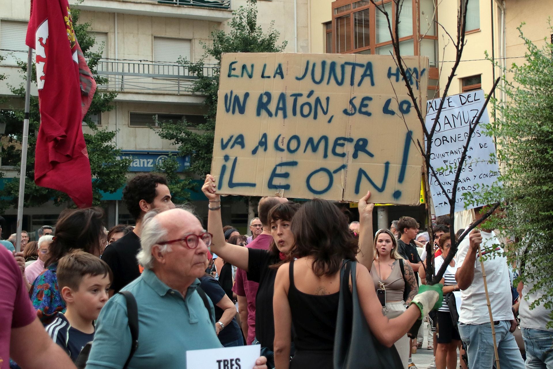 La Bañeza exige el nivel 3 de emergencia por los incendios de la provincia