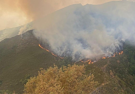 Incendio en el municipio de Oencia (León)