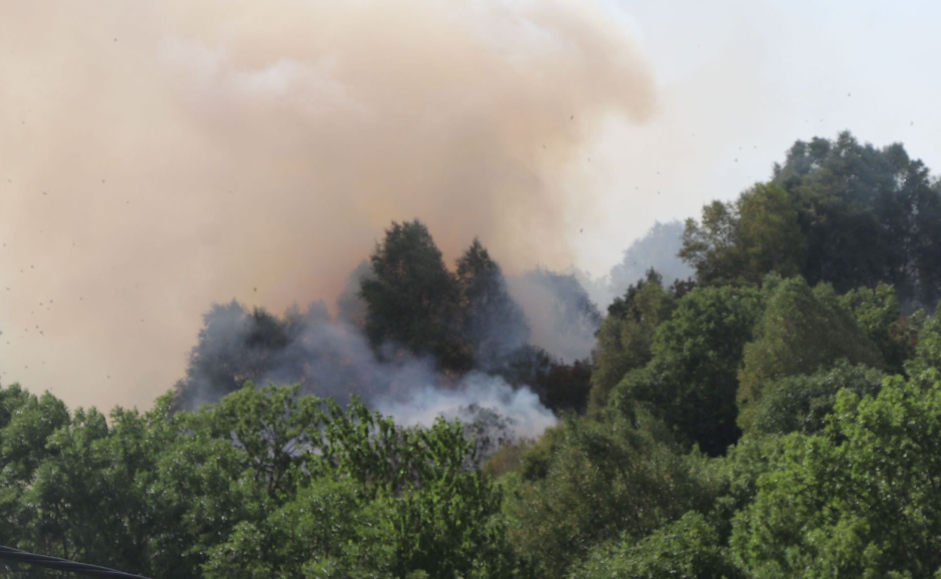 Doce días de fuego en Fasgar