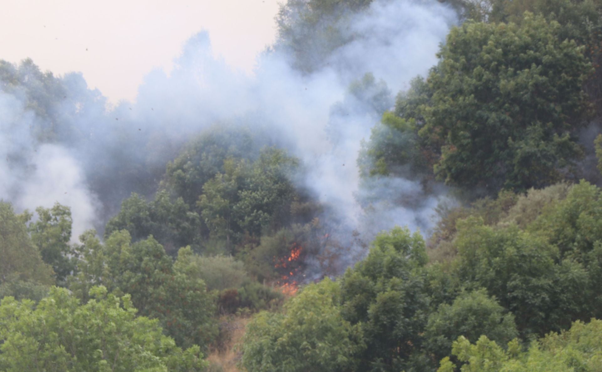 Doce días de fuego en Fasgar