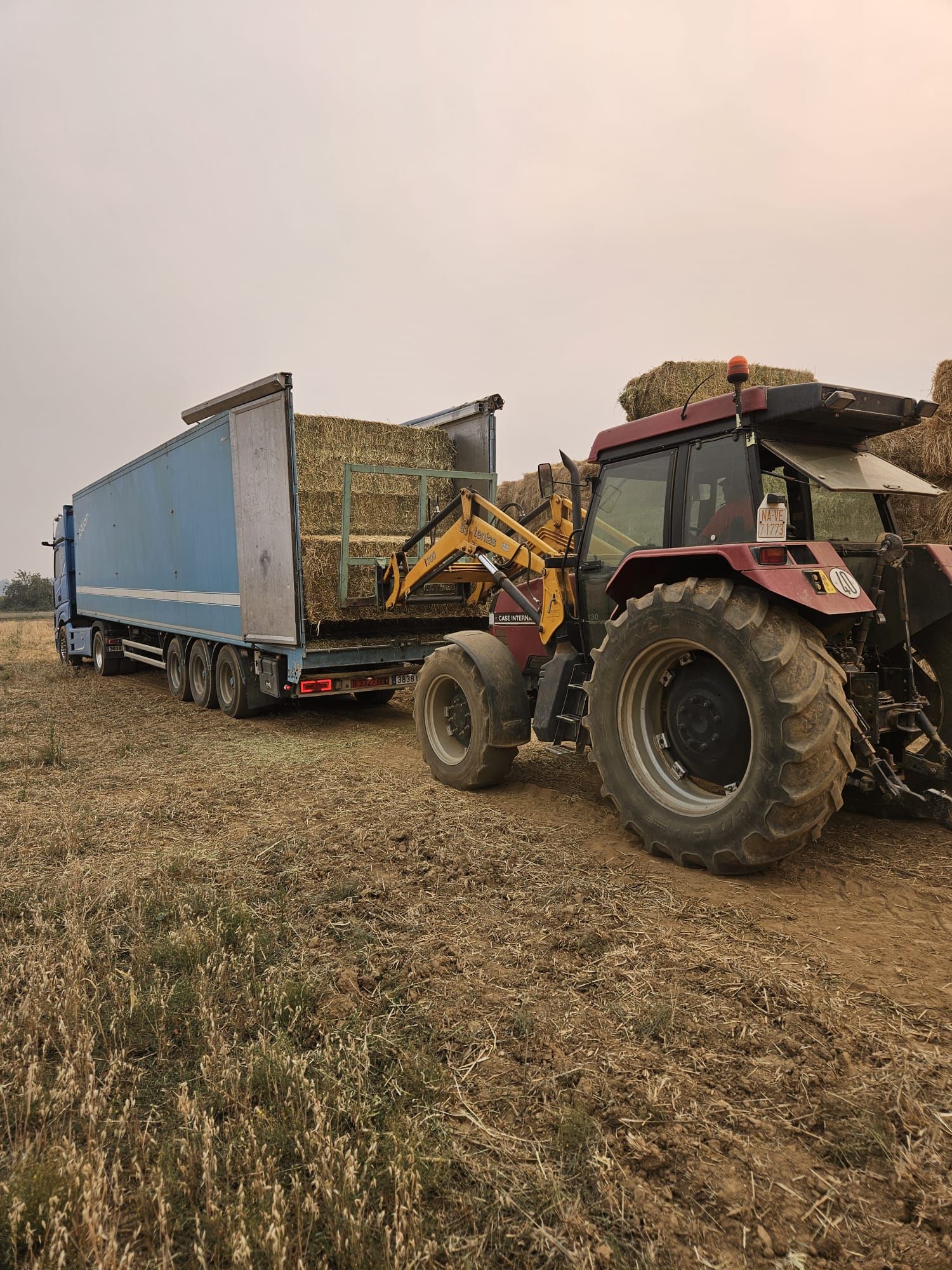 Transportistas y ganaderos solidarios rumbo a la Valdería