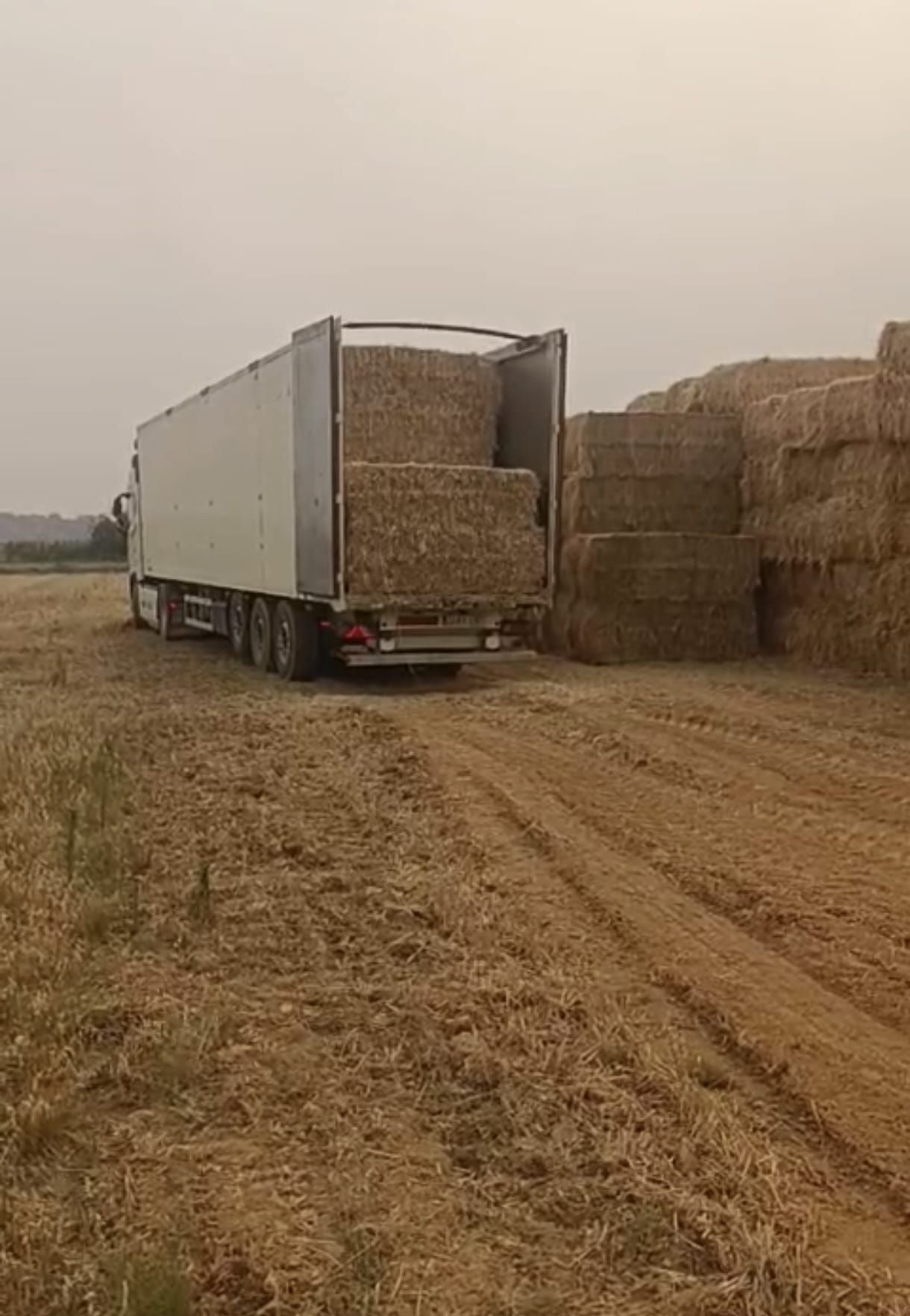 Transportistas y ganaderos solidarios rumbo a la Valdería