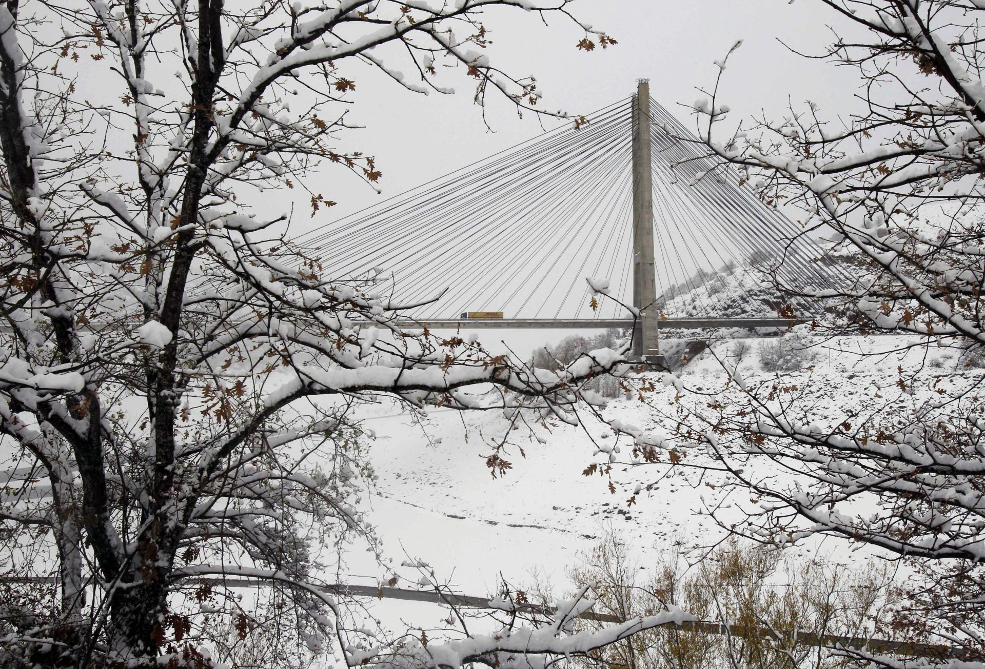Un puente de récord y de libro