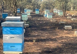 Colmenares de la zona.