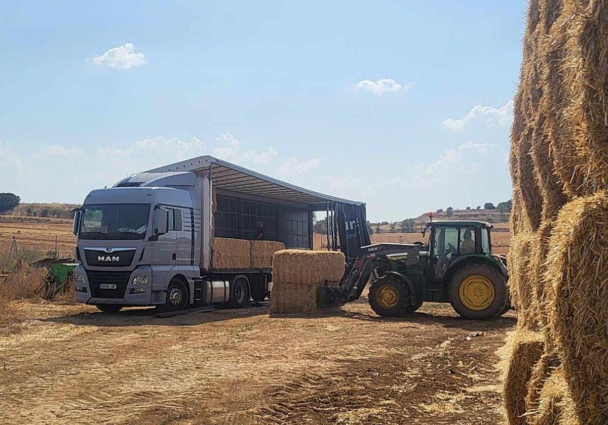 Transportistas y ganaderos solidarios rumbo a la Valdería
