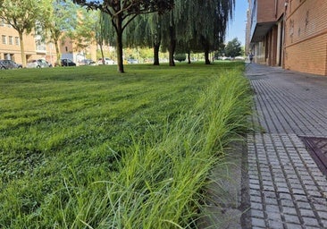Un vecino de La Palomera denuncia inundaciones por falta de desagües