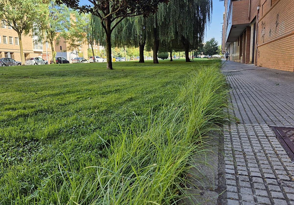 Paseo Quintanilla, La Palomera.