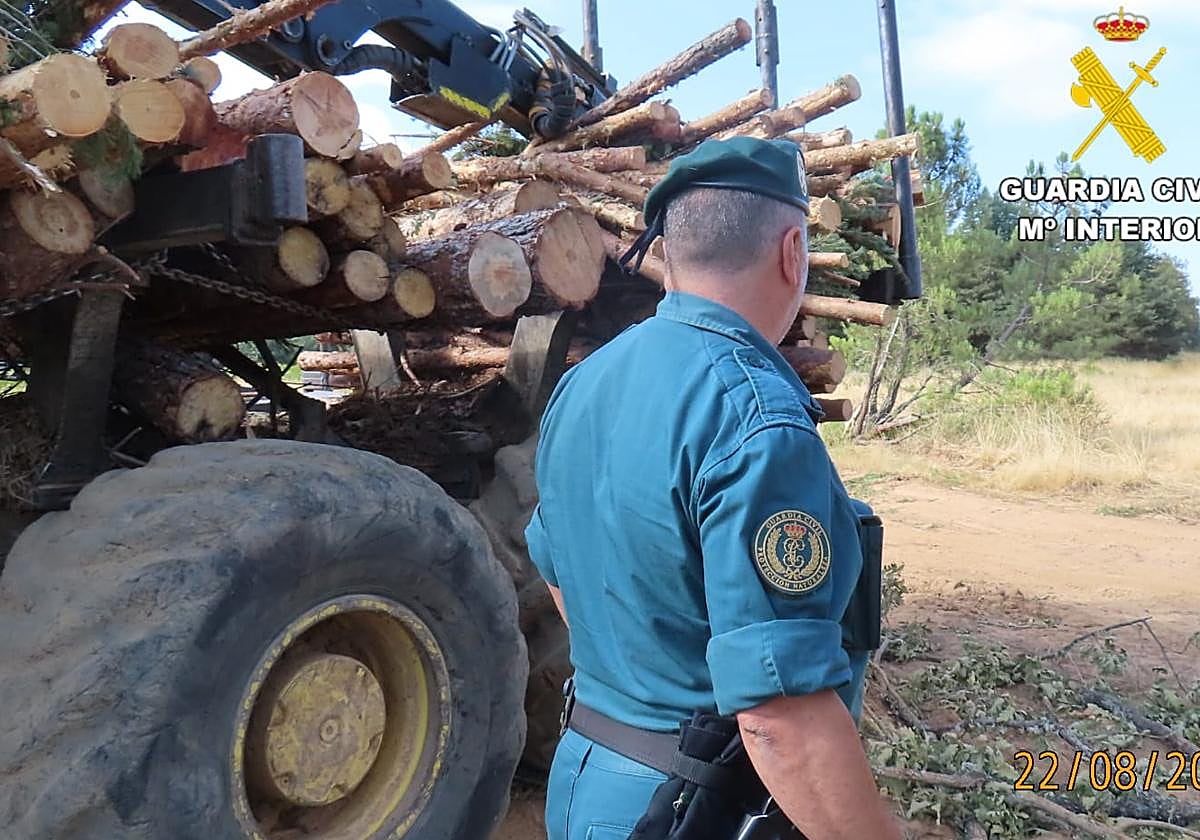 Un investigado de 59 años por su presunta implicación en el incendio forestal en Villamol