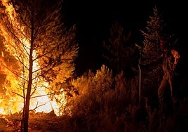 Un bombero forestal trata de extinguir el fuego, a 22 de agosto de 2025, en Argayo.