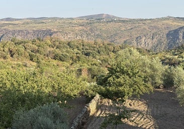 Dos puntos de León registran -3 grados en agosto