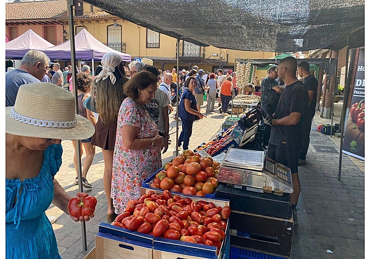 Mansilla se rinde al sabor de su tomate