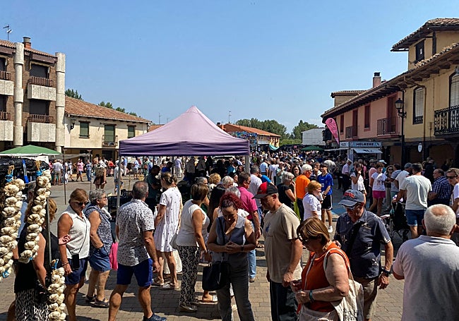 Gran afluencia de público en busca del mejor tomate de Mansilla