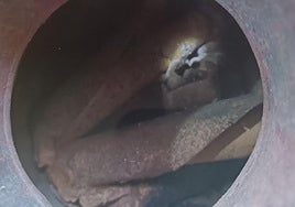 Cartuchos de dinamita localizados en un cántaro de una vivienda de Vivero de Omaña.